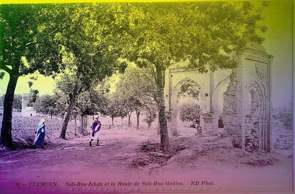 Tlemcen Environs 024.jpg